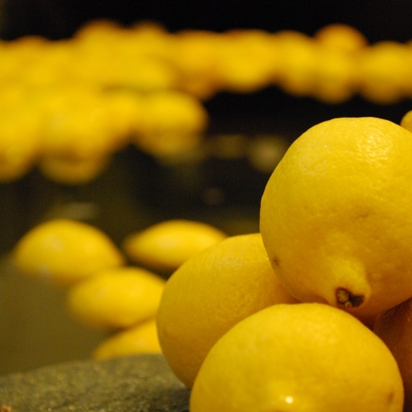 Chartered lemon hot spring