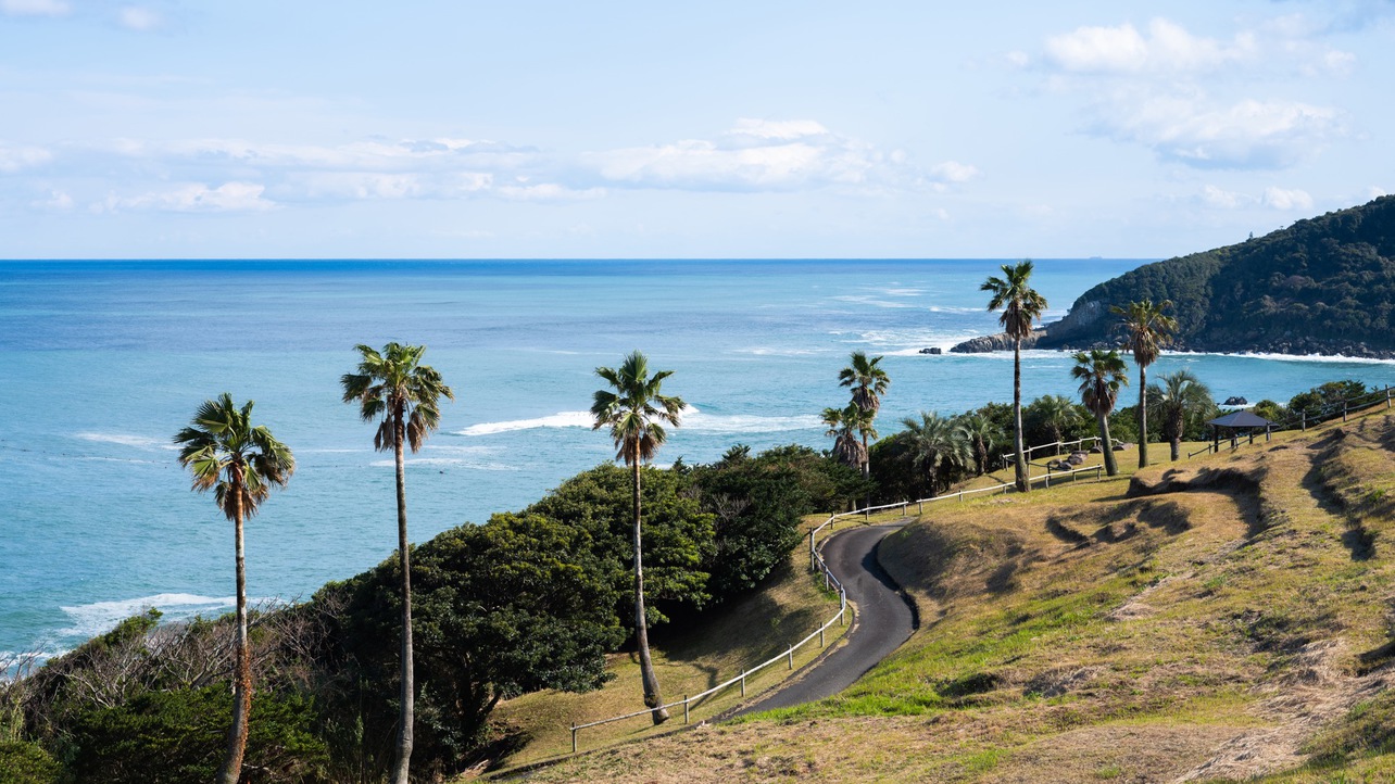 【1泊2食】海の幸とご当地の定番チキン南蛮！ 宮崎グルメ満喫プラン