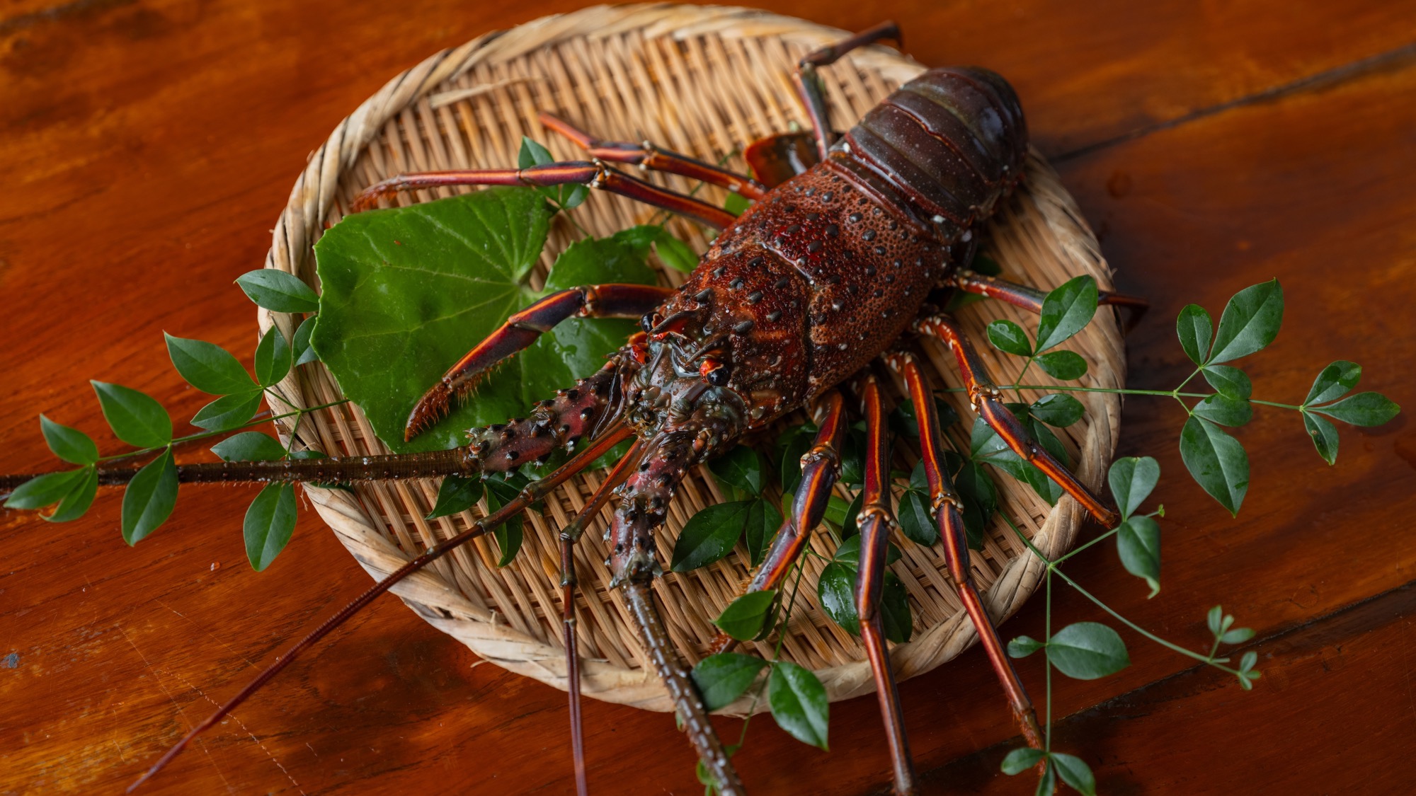 日南名産の伊勢海老