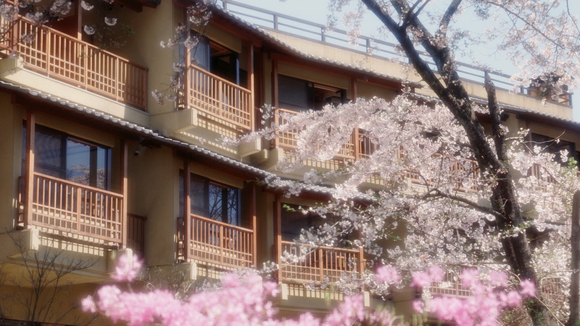 【桜観光ｘ温泉旅】お花見と源泉かけ流しの温泉を満喫♪嬉しい春のプチギフト付きプラン