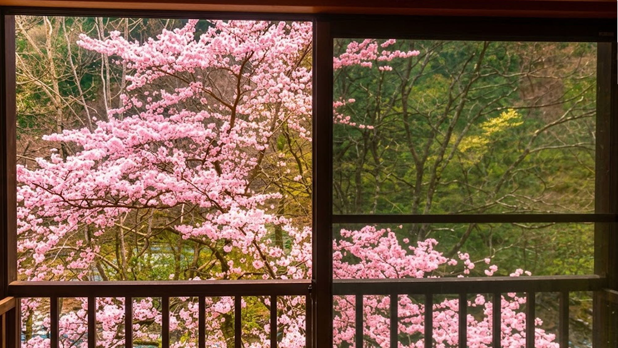【1日2部屋限定！】目の前に桜が広がるお部屋をご用意／夕朝食付き「お部屋でお花見プラン」