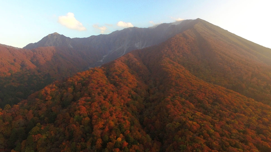 大山の紅葉