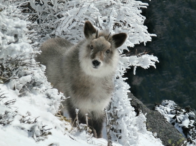 ツインルーム素泊まりプラン♪