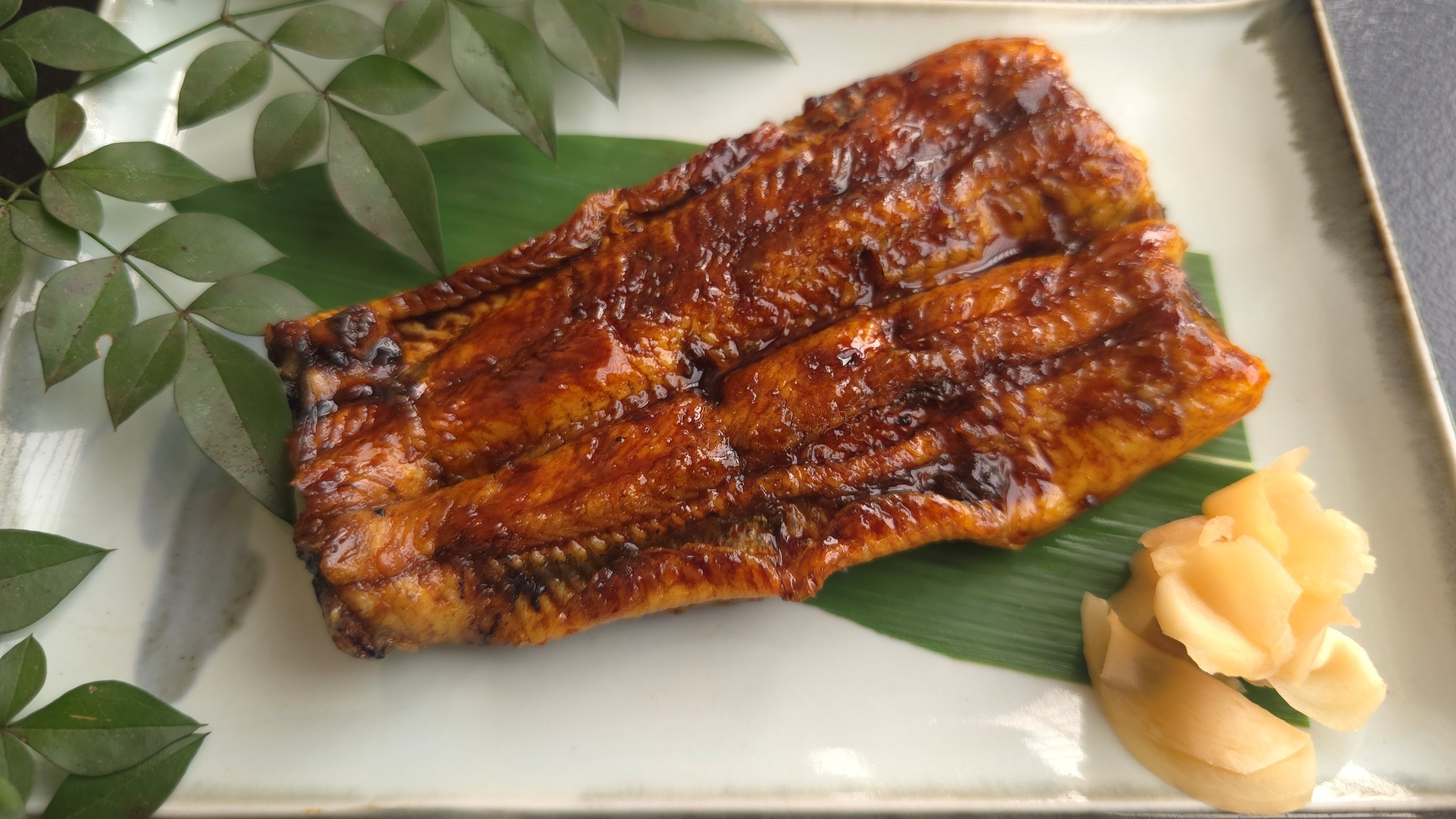 鰻の長焼き（※画像は半身です）