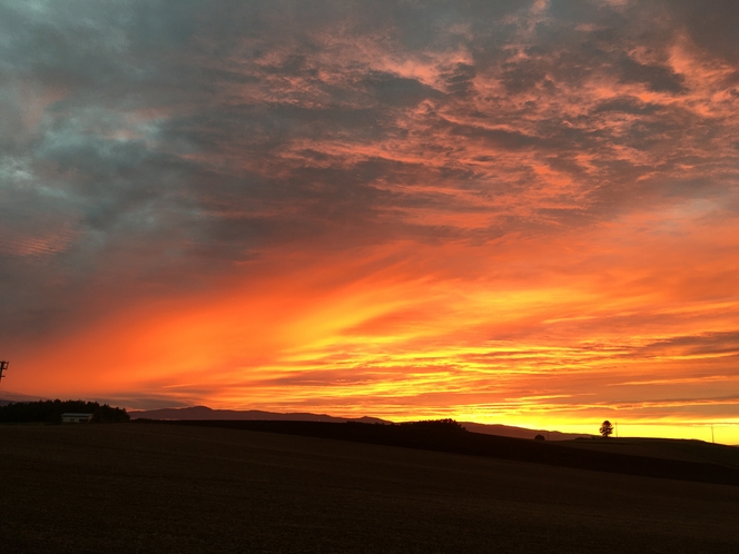 美瑛の風景　夕暮れ