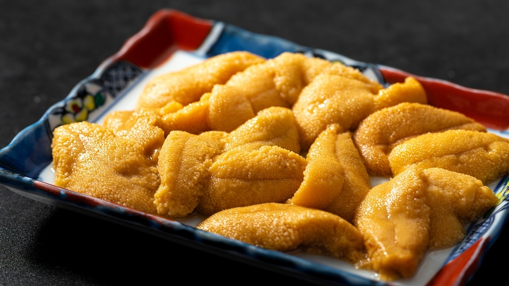【６月〜８月ウニ漁解禁！】夏の積丹旬味プラン【アワビも３品／お刺身・酒蒸し・踊り焼き】