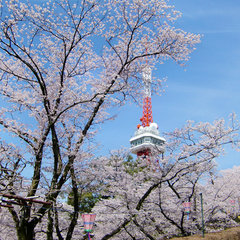 宇都宮市内にある八幡山公園