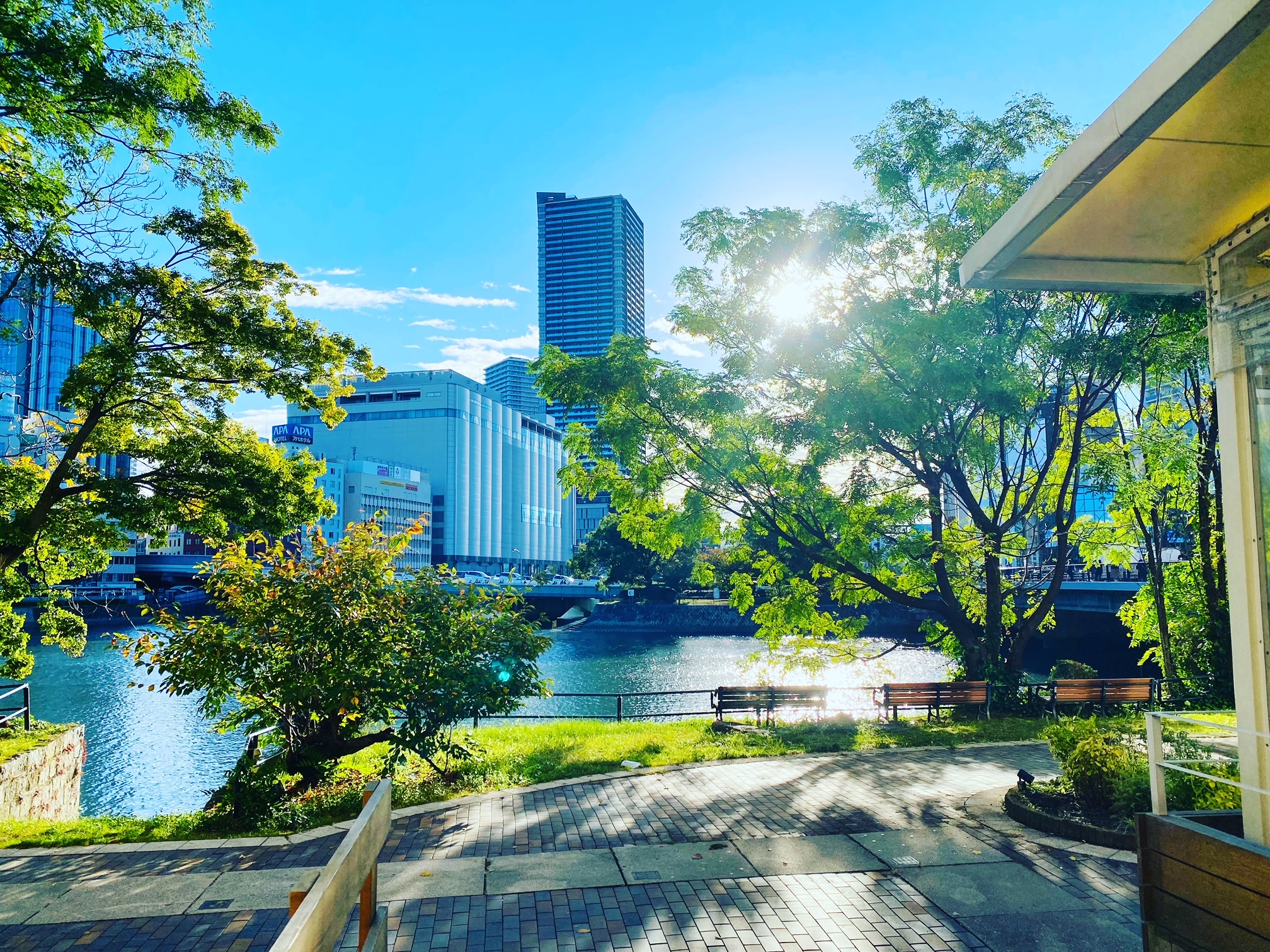 2025年　ホテルに隣接する公園①