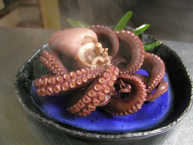 日間賀島 旬味覚の宿 上海荘 日帰り デイユースプラン一覧 楽天トラベル