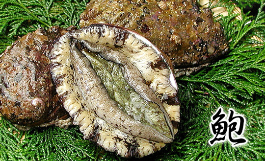 memasak