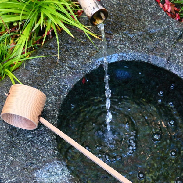 【お抹茶体験プラン】お気軽にお茶室を嗜む＊＊旬の味覚と温泉でほっこり。【お日にち限定】