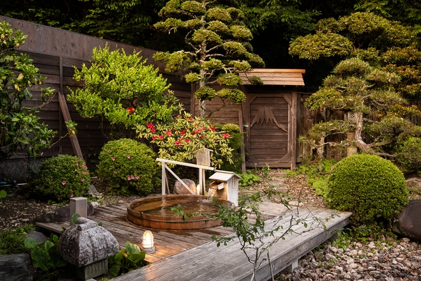 自家製野菜と温泉でほんわかプラン♪