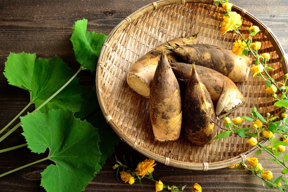 季節料理！タケノコ三昧プラン！　