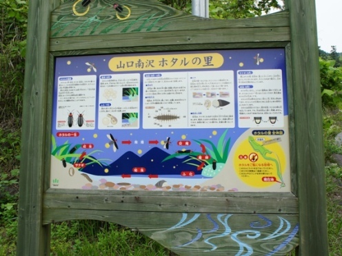 写真3