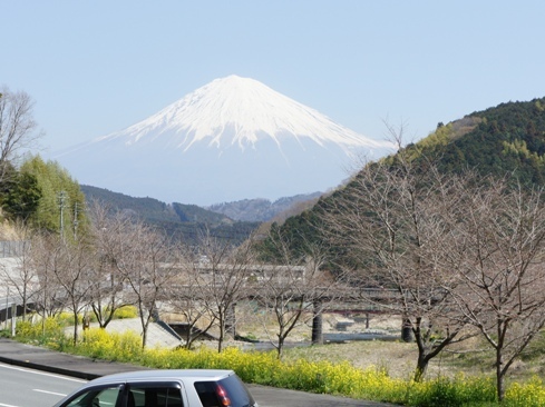 写真1