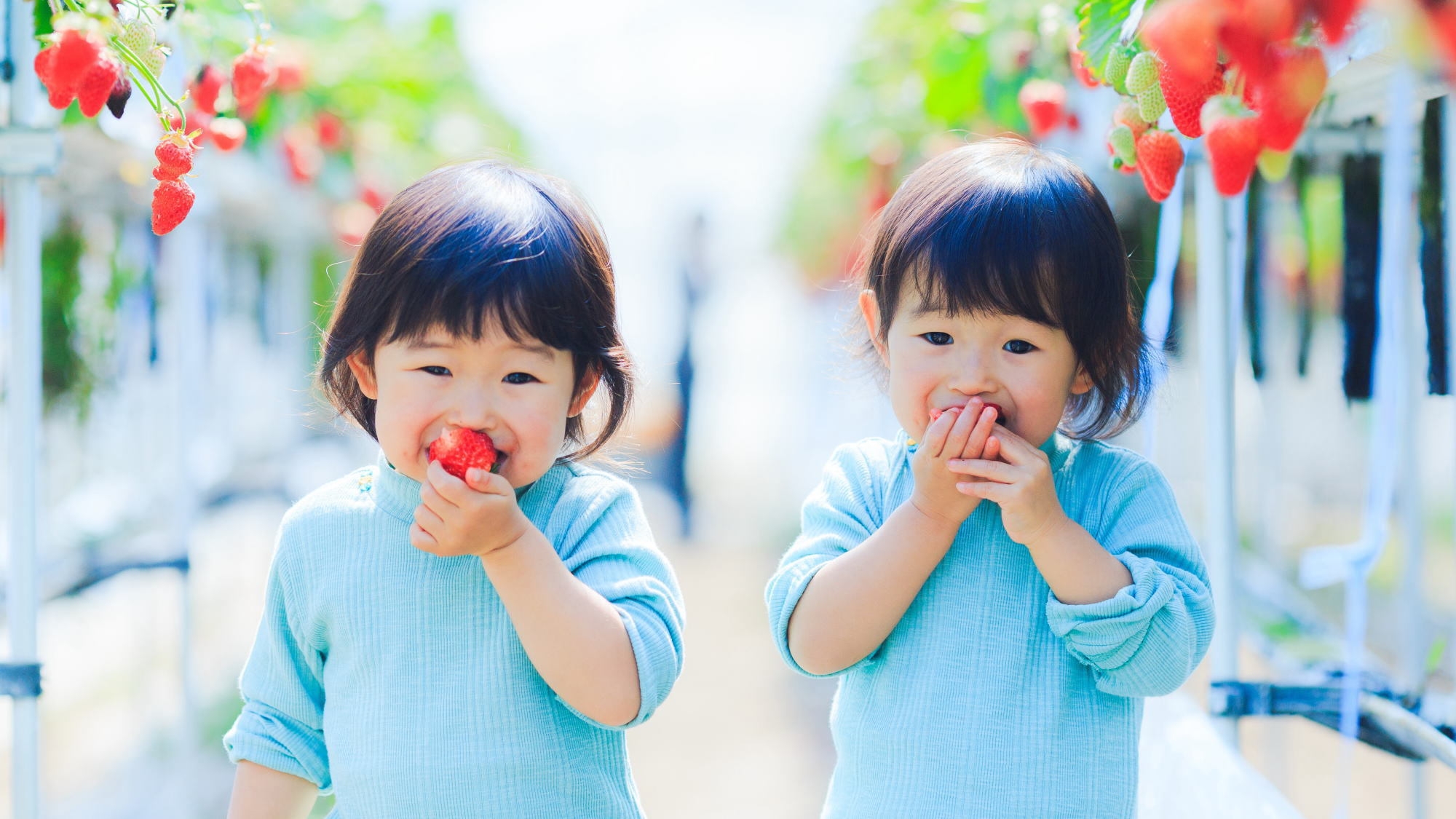 【早期割3】いちご王国・栃木県生まれの「とちあいか」を楽しむ30分食べ放題＜夕朝食付・ラウンジ付＞