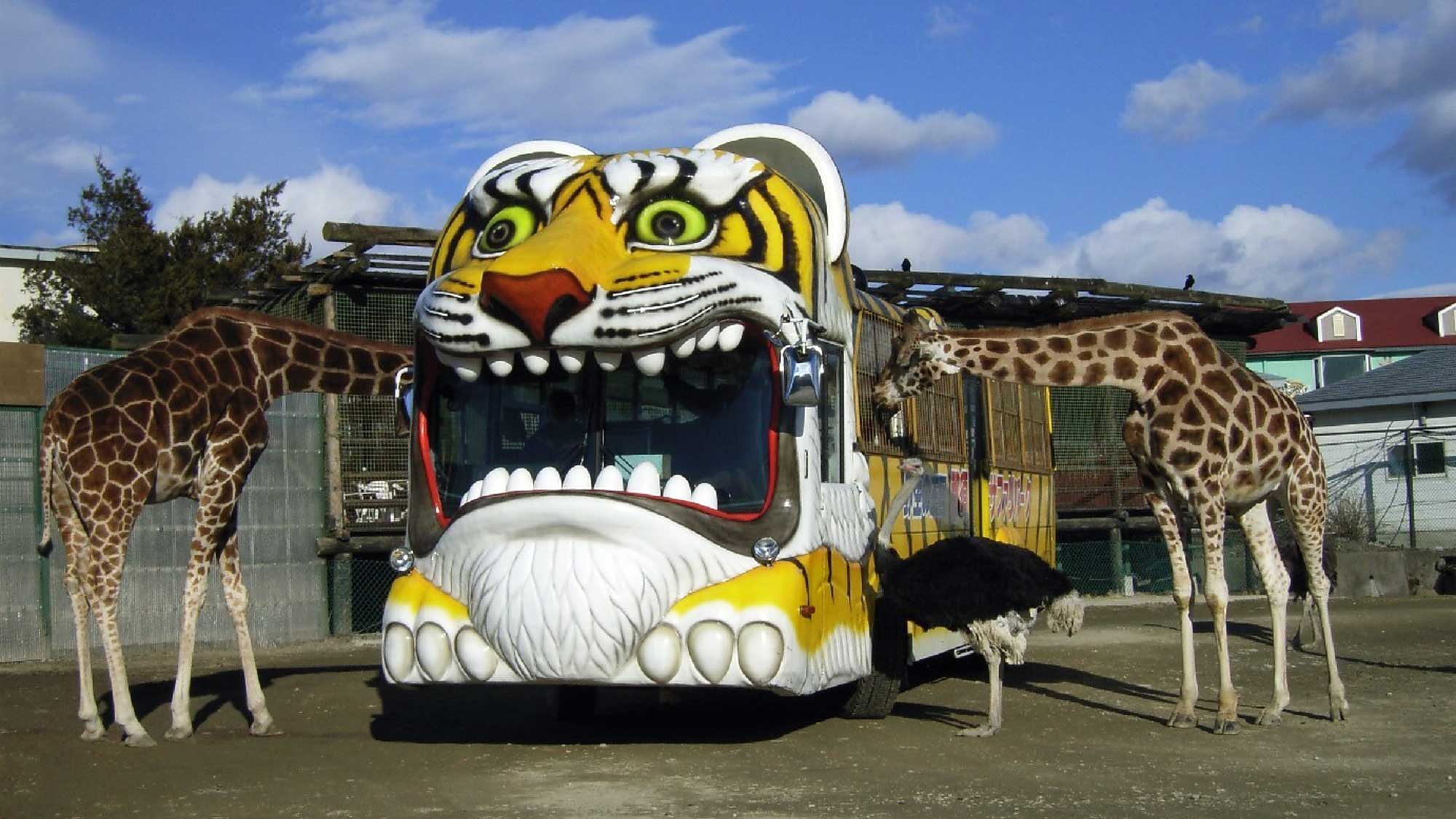 【那須サファリパーク】(ホテルから車で約15分）