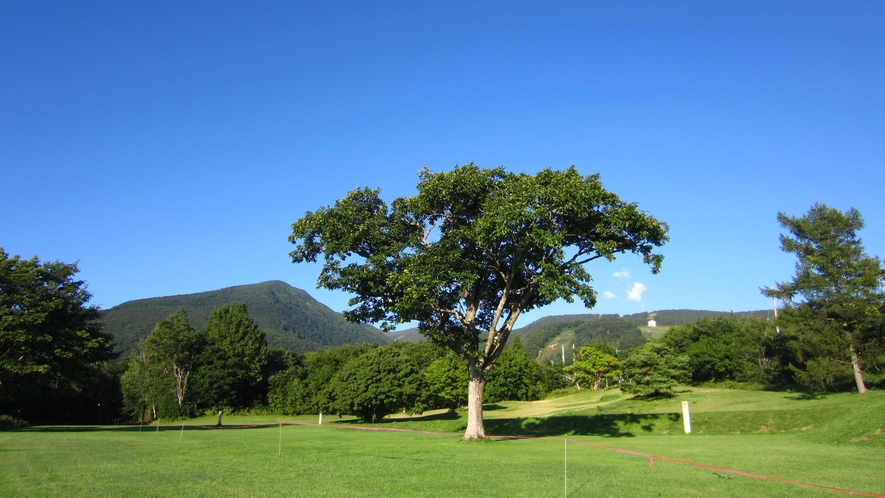 坊平高原　園地　夏