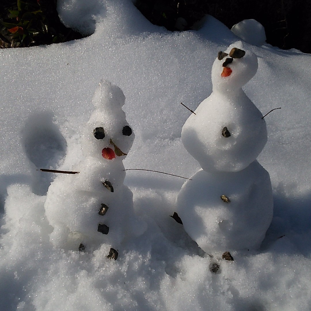 冬★ボリューム控えめ！少食の方におすすめ【カニ一杯コース♪】気軽に冬の味覚を満喫★