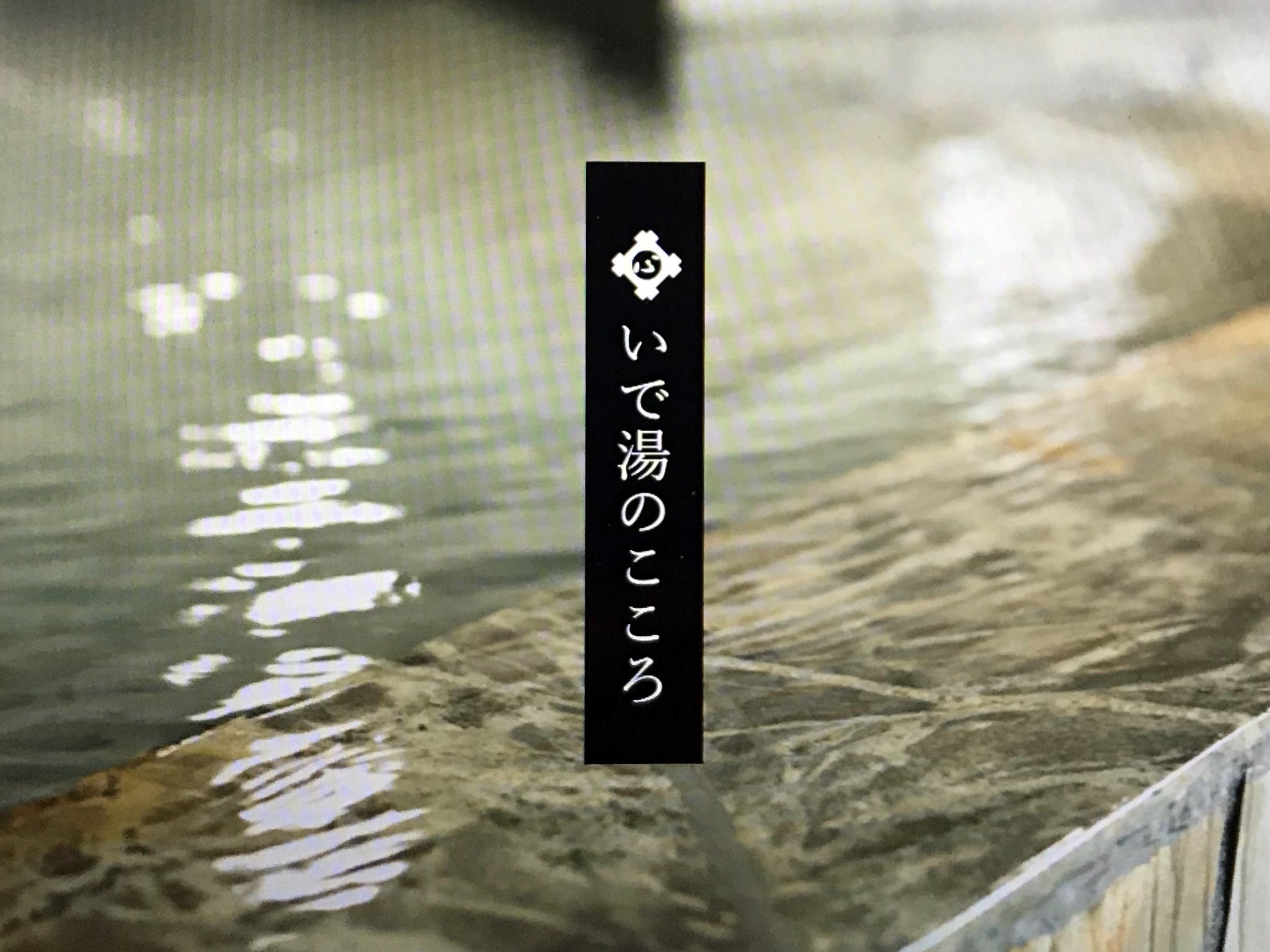 写真2
