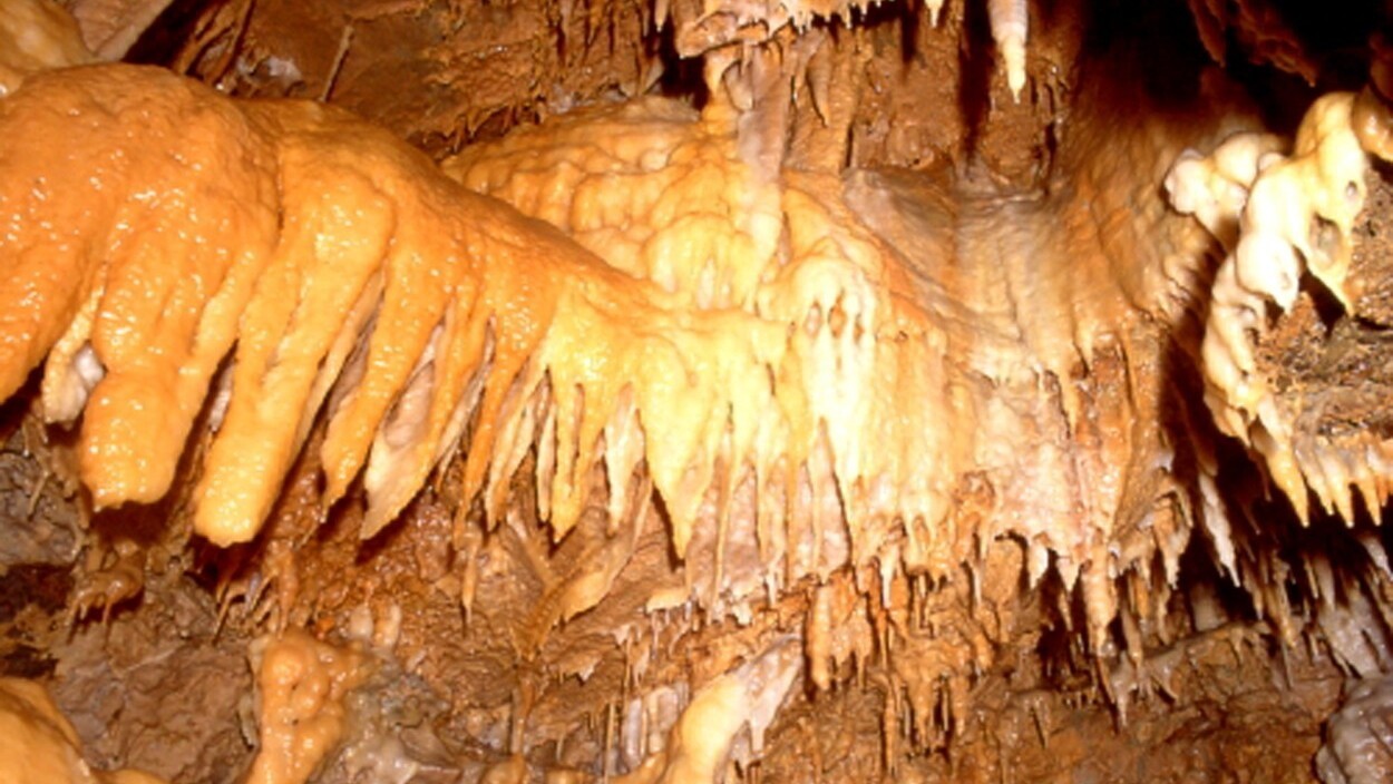 【竜ヶ岩洞（鳳凰の間）】