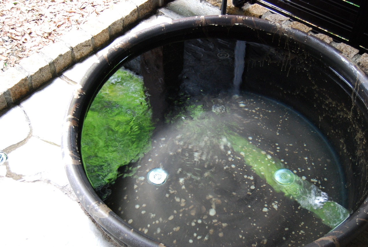 【事前決済専用平日限定1人旅キャンセル不可】お部屋でフルコース♪客室露天風呂とミストサウナ付潤う☆