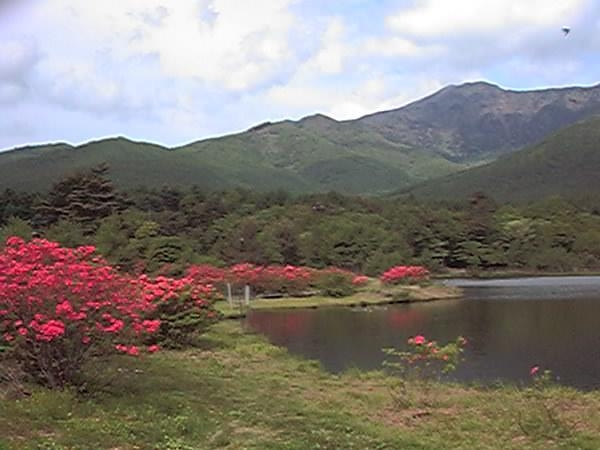 *ボリュウムたっぷり洋食コース*軽井沢より標高が高い＝嬬恋バラギ高原*
