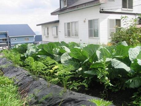 バラギ高原ロッジ 宿泊予約 楽天トラベル バラギ高原ロッジ 宿泊予約 楽天トラベル