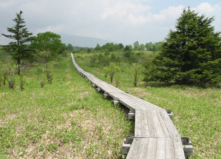 野地平