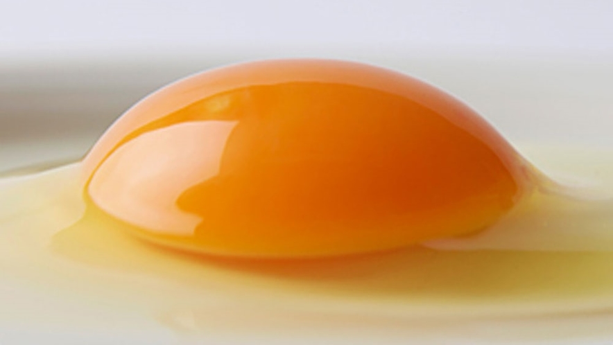 高級レストランでも使用している卵は地元の「太陽卵」を使用
