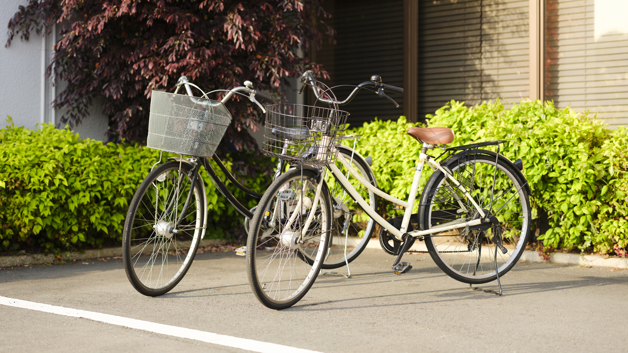 自転車の無料貸出
