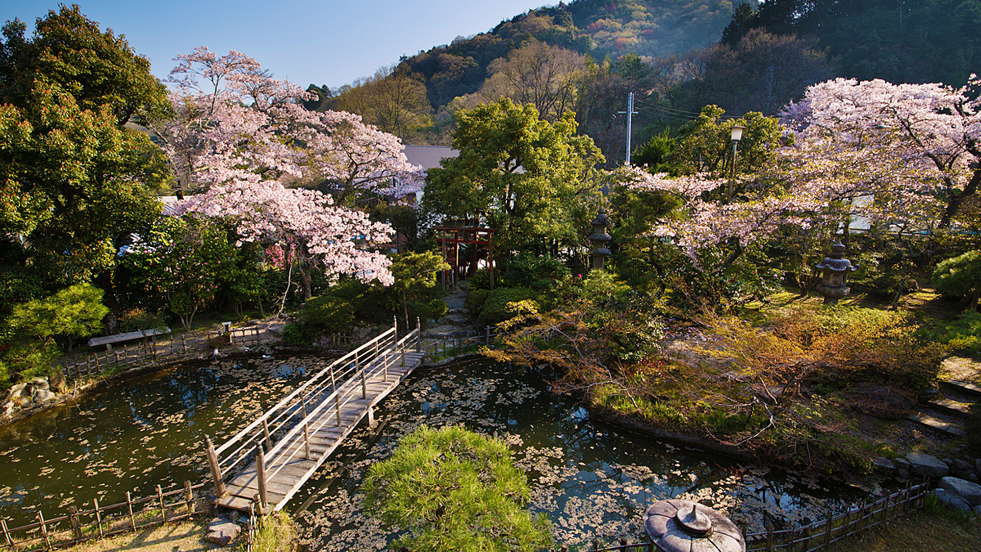 【日本庭園】季節ごとに表情を変える“三千坪”の日本庭園は、いつ見ても目新しいもの