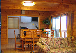 Example of a cottage family living room
