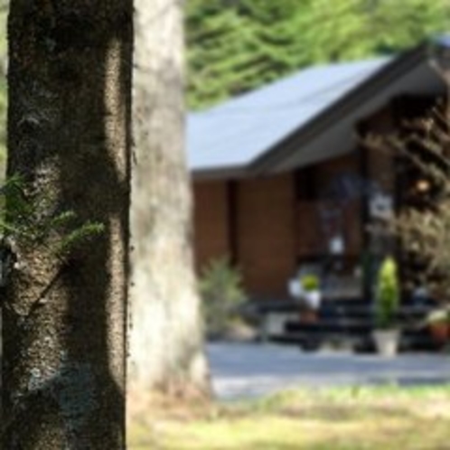 軽井沢の風景（中軽井沢周辺）