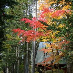 軽井沢、秋の風景