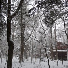 軽井沢、冬の風景