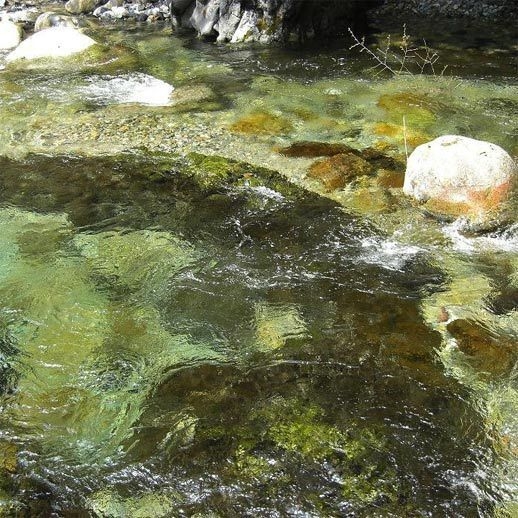 全室露天風呂付｜泉岳舘スタンダード｜おひとりデトックスリトリート天然炭酸泉【1泊２食】
