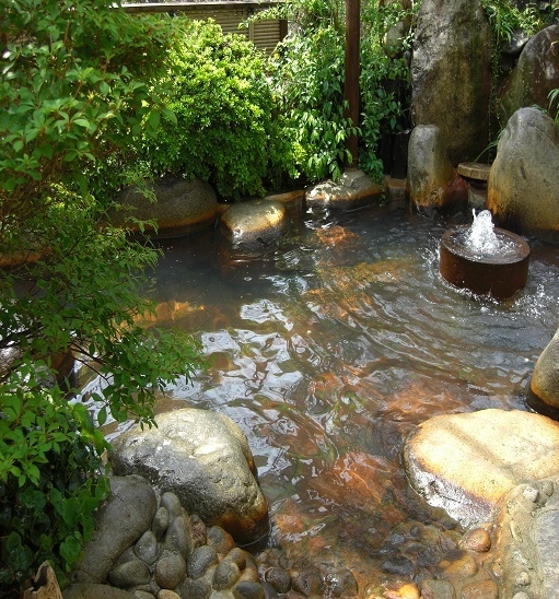 【全室天然炭酸泉かけ流し】飲む浸かるリトリート旅　飛騨の郷土会席 【1泊２食スタンダード】