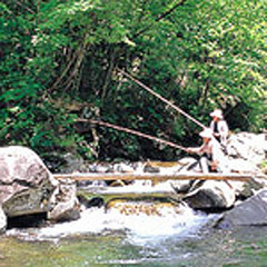 【清流鱒釣りプラン】とっても良く釣れます。釣って焼いて食べる☆自然遊びを堪能