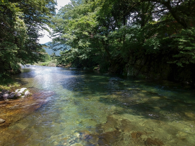 【全客室から見える清流】当館自慢の癒しの景色