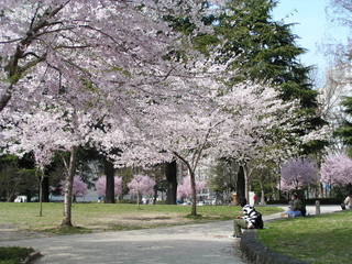 錦町公園.jpg