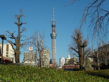 写真5