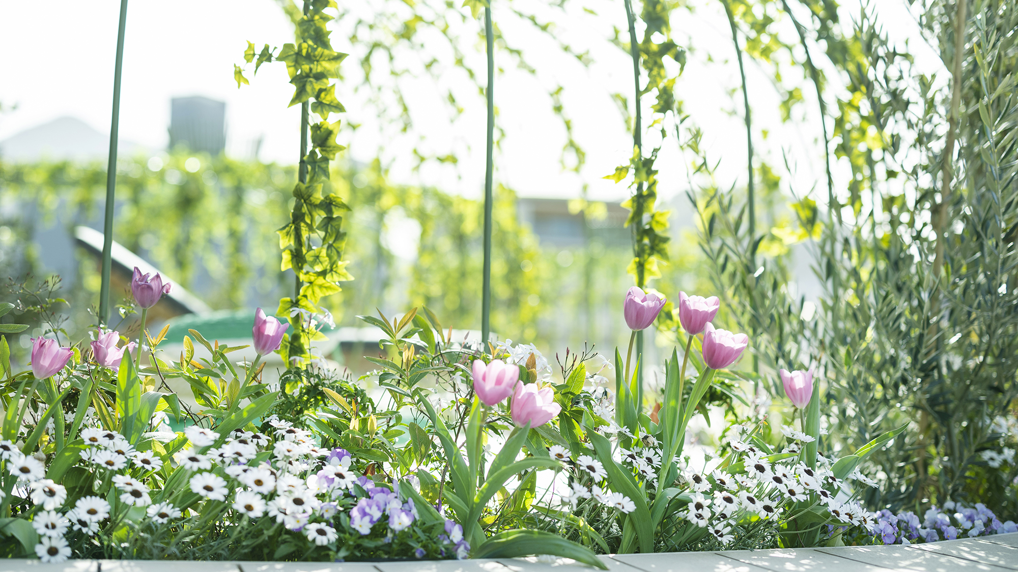 【BOTANICAL GARDEN SPA】花々が旅を彩ります。