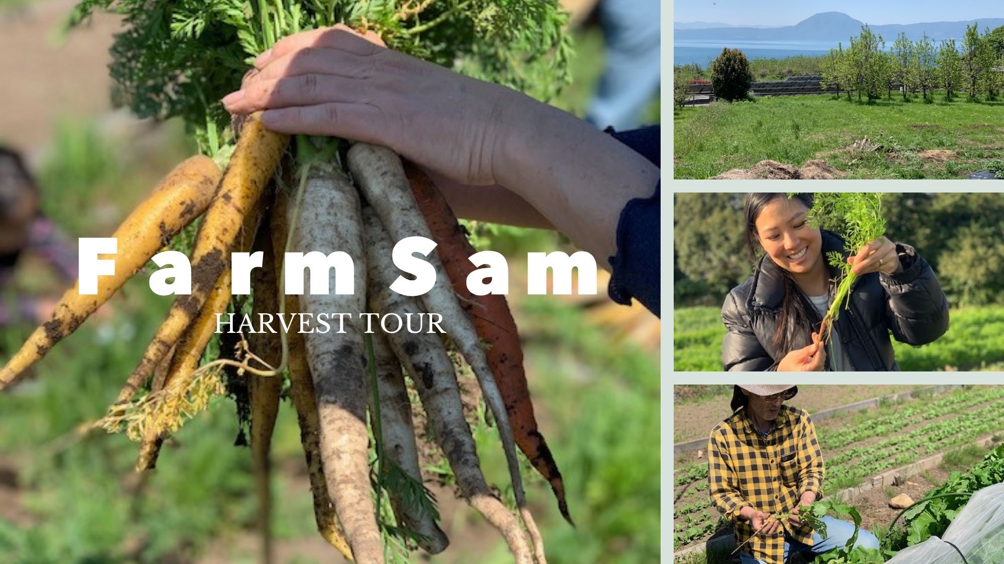 【ご当地体験】選べる体験プラン＋癒しの温泉時間と地産旬菜バイキング★お子様（未就学）無料