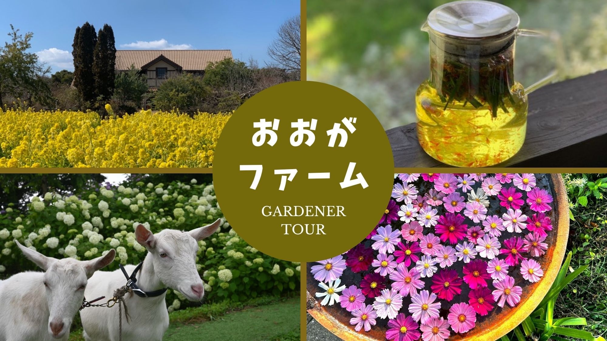 【ご当地体験】選べる体験プラン＋癒しの温泉時間と地産旬菜バイキング★お子様（未就学）無料