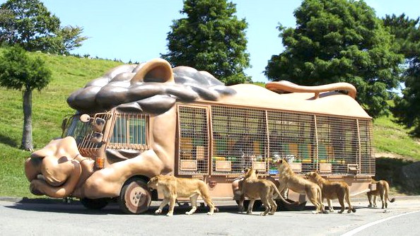 九州自然動物園【アフリカンサファリ】ジャングルバス2