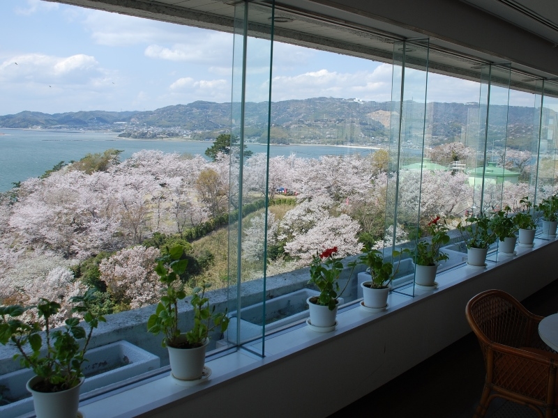 日帰り昼食【4月4日・5日限定】桜と海を眺めながら♪お花見ランチバイキング♪