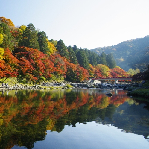 【香嵐渓・巴川の水鏡】