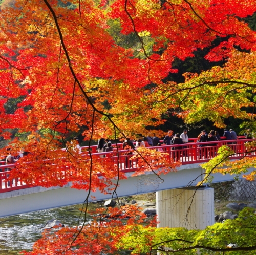 『香嵐渓』の紅葉　