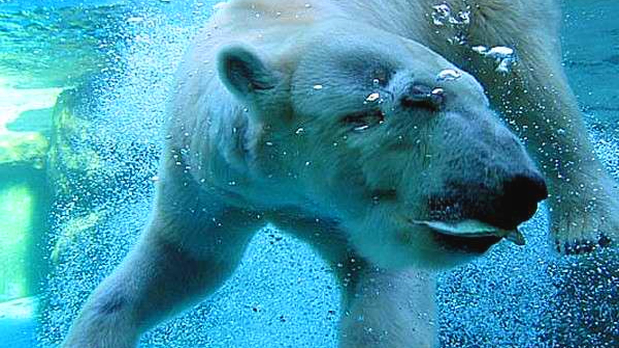 ＜GWにおすすめ♪＞【のんほいパーク入園券付きプラン】＜1泊朝食＞お子様歓迎！三世代・グループ旅行に